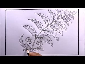How To Draw Fern Easy/Fern Drawing