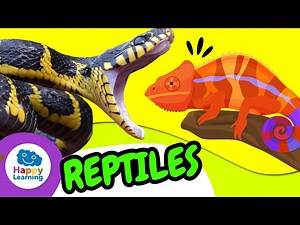 🐊🦎 ALL About REPTILES: Crocodiles, Lizards and Snakes | Educational Videos | @HappyLearningENG - Videos For Kids