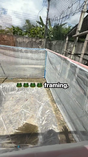 554K views · 3.4K reactions |  framing. | BOSS D. | Facebook