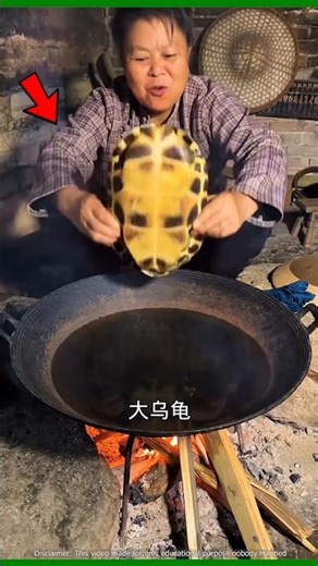 চীনারা কচ্ছপ দিয়ে সুপ তৈরি করে | Making turtle soup #facts #ytshorts #shorts