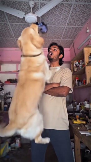 #smartphone #transition #tutorial #picsart #edit #anime