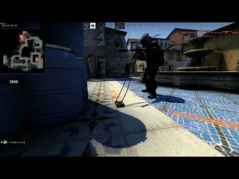 utterly incomprehensible cs:go voice chat sound