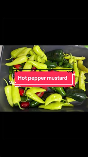 Finally made some hot pepper mustard for the first time. So good!! #canningtiktok #canning #gardentok #gardening