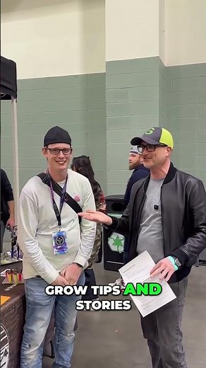 Solventless Hash: Heady Eddy & GZ Grow Shop Insights