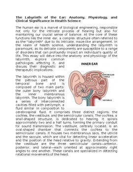 Inner Ear Health Worksheet for Sub-Plan or Classwork & Homework
