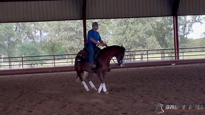 🔥For Sale🔥 My Guns R Singing 2022 Gelding By Guns R For Shootin Out of Singing In The Rein 📍 Valley View, TX 🎥 https://youtu.be/a5nAMRzB2Po?si=n-OhLQpKN-VQFX3S 📲 Contact Brian Bell for more info 5802760132 | Brian Bell Performance Horses