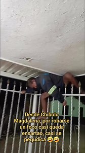 El Chácara de hiero de Chibolo...🤣 Casi queda ensartao por robarse un foco #viralpost2025 #NoticiasdeHoy #barranquillacolombia #virales #colombia #reelviral #viralreelsfacebook #homor #videosgraciosos | Tierra Linda