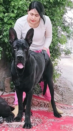 Success A smile is an act of kindness#