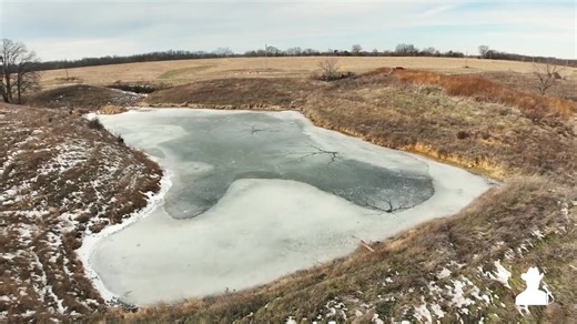 Upcoming Lewis County, Missouri Land Auction for Danny L. Dannenhauer Family Trust; Heather Hipkins, Elizabeth Lehenbauer, & Jessica Koscielski – Sellers. Selling 387 acres± (subject to survey) in 7 tracts on January 7, 2026. The Dannenhauer farm is located 6 miles north of Lewistown, Missouri and 5 miles southeast of Deer Ridge, Missouri on State Highway Y just north of Midway. These farms represent productive tillable cropland, well maintained pastureland, recreational/hunting, and excellent b