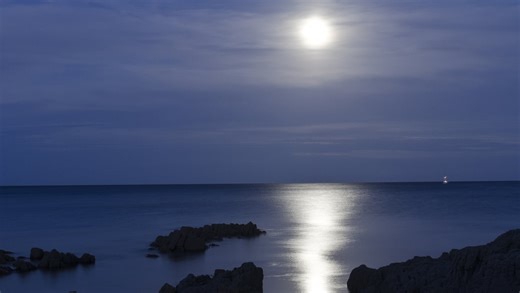 Lyric Through the Night