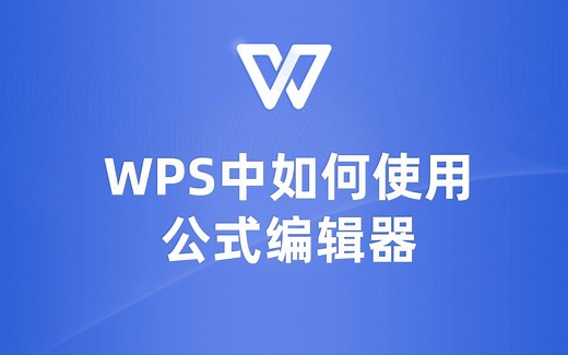 WPS公式编辑器使用技巧，让你的工作更加高效！