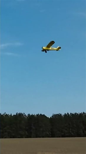 Sig Kit Clipped Wing Cub Shorty #rcflying