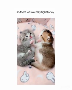 411K views · 3.7K shares | I can’t get over this  | Femaleclub | Facebook