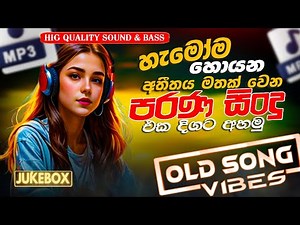 Old Hit Sinhala Song Vibes (2024) | Sinhala Sindu | Sinhala Songs playlist (2024) Live Nonstop