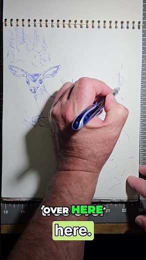 Quick Sketch: Deer Drawing Tutorial, Shadows & Background!