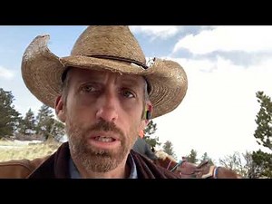 Horse ride, Bull elk, Unit 1 AZ