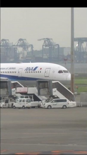 ＃羽田空港＃米子鬼太郎空港#飛行機#空港ライブカメラ #Shots