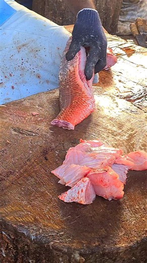 KASIMEDU 🔥RED SNAPPER FISH CUTTING #kasimedufishmarketlatest #kasimeduspeedselvam #shorts