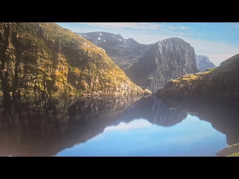 What youtube is getting paid for license in UAE