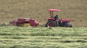 Another clip of Darryl Berne baling lucerne hay at "Thornby", Exton, back on 4th February 2025. | Craig's Farming Photos & Videos