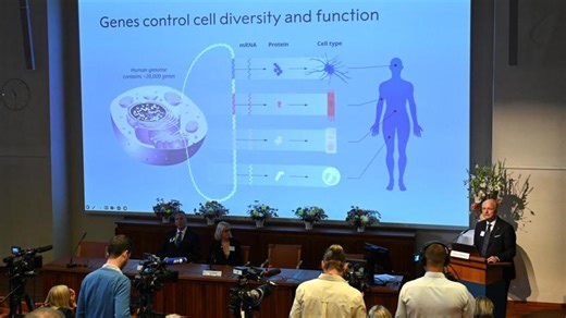¿Permitirá curar enfermedades? Importancia y beneficios del hallazgo del microARN, galardonado con el Nobel de Medicina