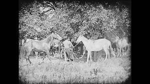 Circa 1920 - in this silent western film, two kiowa scouts on horseback and a heartbroken woman make their way back to their village.