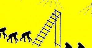 The experiment of monkeys, bananas and ladders: obeying absurd norms