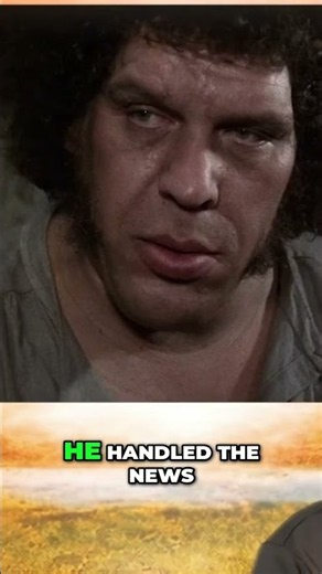 The Princess Bride Betrayal, True Love, and a Master Plan! #mastersoftheuniverseorigins