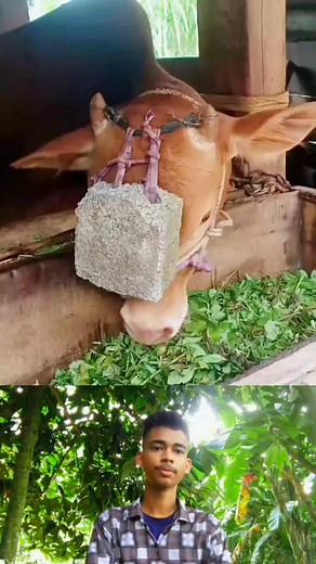 131K views · 304 reactions | চোখের দেখাও ভুল হয় #newmovies2025 #reel #videos #explain | Raju Islam1.0 | Facebook