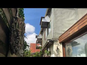 Auflass | Brieftauben.