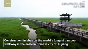 20K views · 91 shares | Construction work on the world's longest...