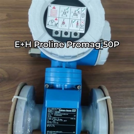 Endress+Hauser E+H Proline Promag 50P 53P Electromagnetic Flow Measuring System