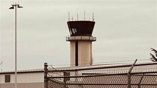 Pilot safely lands plane after extinguishing engine fire mid-flight