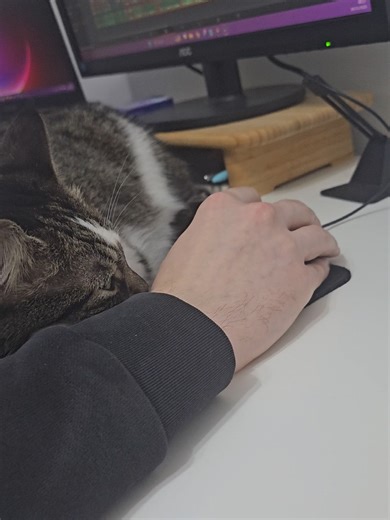 My little baby 🐾 helping her dad edit her video 🥰😍 #cutecat #cutiepatutie #viral #dailydoseofcuteness #luckypawsclub
