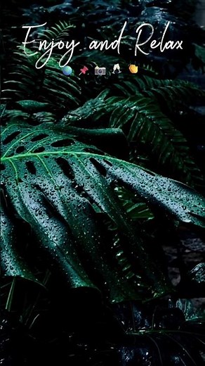 RAIN SOUNDS for Deep Sleep & Relaxation 🌧️ White Noise Rains