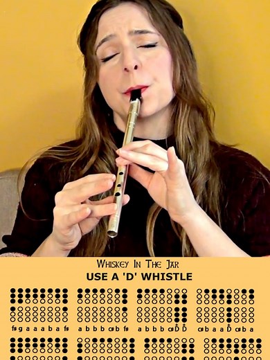 Learn to Play Whiskey in the Jar on D Tin Whistle