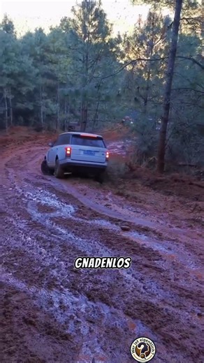 Teurer Range Rover FAIL! 🚙💥