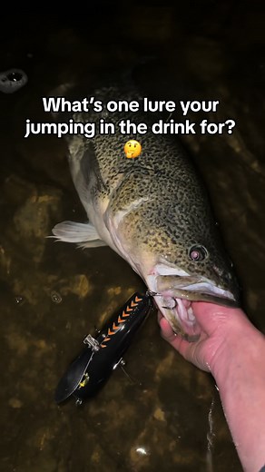 Best Lures for Murray Cod Fishing Explained