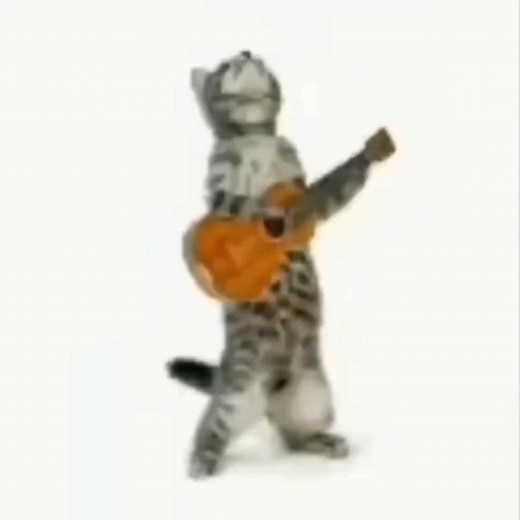 Cats Playing Instruments: Adorable Feline Moments