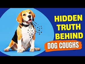 Why Is My Dog Coughing? 5 Common Causes You Should Know