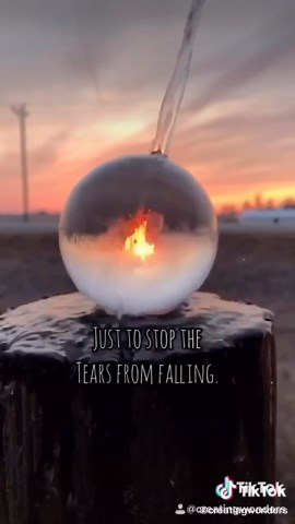 Creating Wonders on TikTok