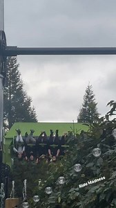 Toxicator - Alton Towers NEW ride for 2025! | Ride Madness