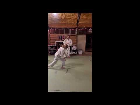 Tedori jujitsu Brown belt Orange Tip 1: elbows