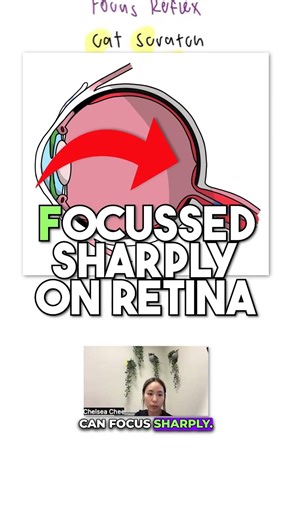 Focusing Reflex Memory Shortcut