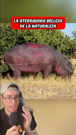 The Terrifying Beauty of Nature 😱 #shorts