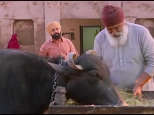 Bollywood Movies: Explore the Latest Releases