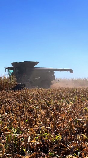 Fendt Ideal 9 running a 16R30 Drago GT mowing down some wet corn.#Fendt #Ideal9 #AGCO #ButlerAgEquipment #LeadersDriveFendt