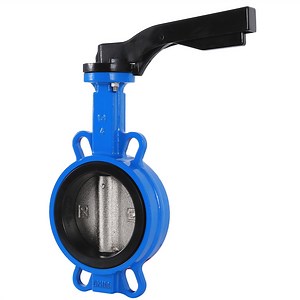 [Hot Item] BS EN12266,API598/Ductile Iron Water Wafer Type Double Flange Butterfly Valve
