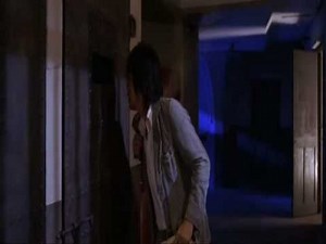 Kung Fusion (español) parte 8