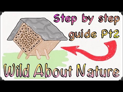 Bee Hotels - Drills, Hole Sizes & How Deep To Make Them